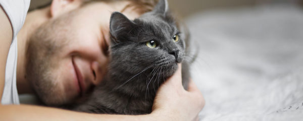 Planes Salud gato Adulto