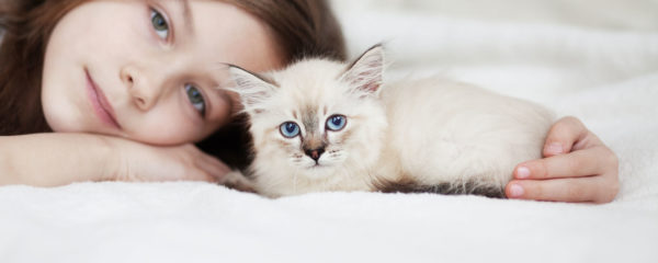 Planes de salud gato Cachorro