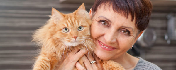 Planes Salud gato Sénior