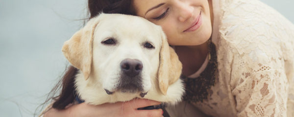 Planes Salud perro Adulto