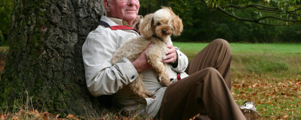 Planes Salud perro Sénior