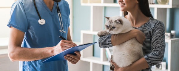 Planes de Salud Mascotas