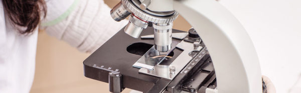 Medicina bioregenerativa