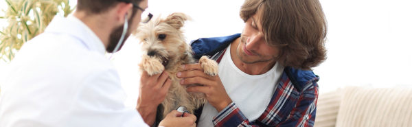 Servicio a domicilio