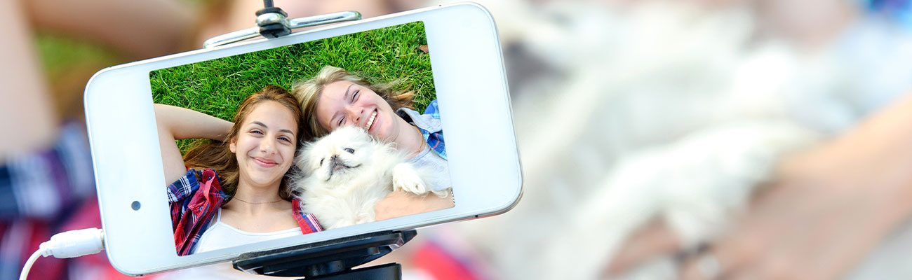 concurso-fotografico-mascotas