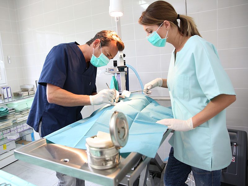 esterilizacion-veterinario