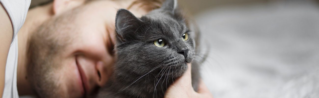 esterilizacion-gatos-veterinario