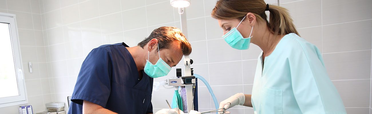 esterilizacion-mascotas