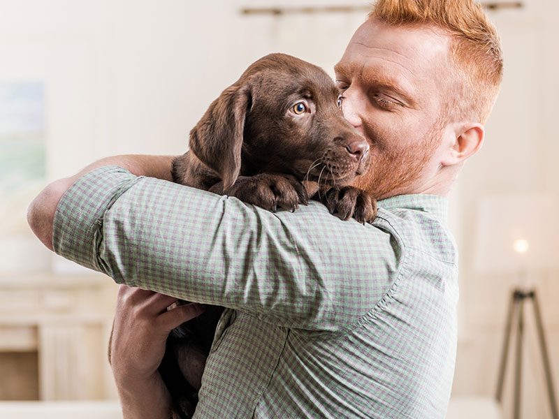 esterilizacion-perro