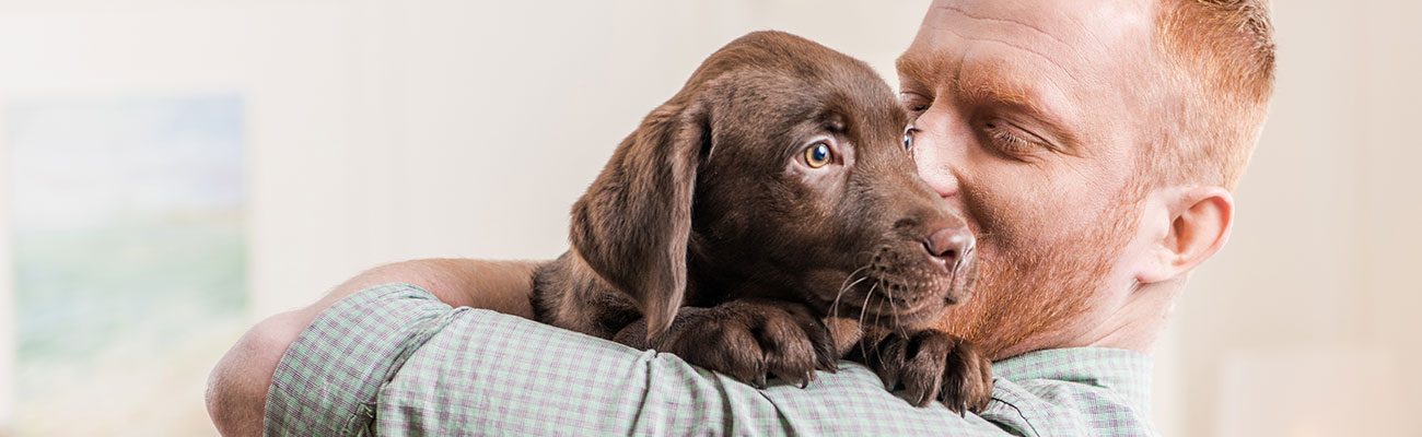 esterilizacion-perro-veterinario