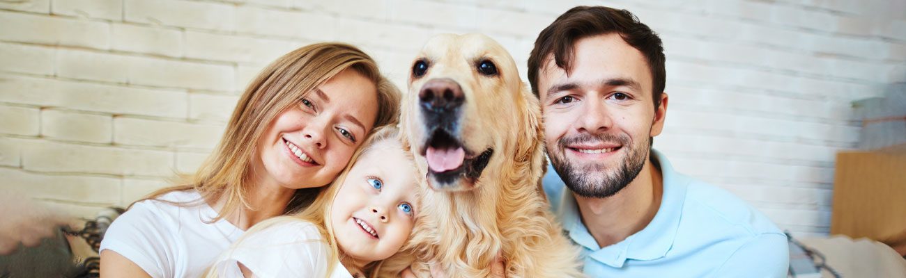 etologia-veterinario-mascota