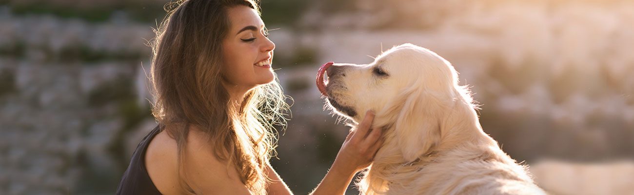 frakmenta-servicios-veterinarios-fraccionados