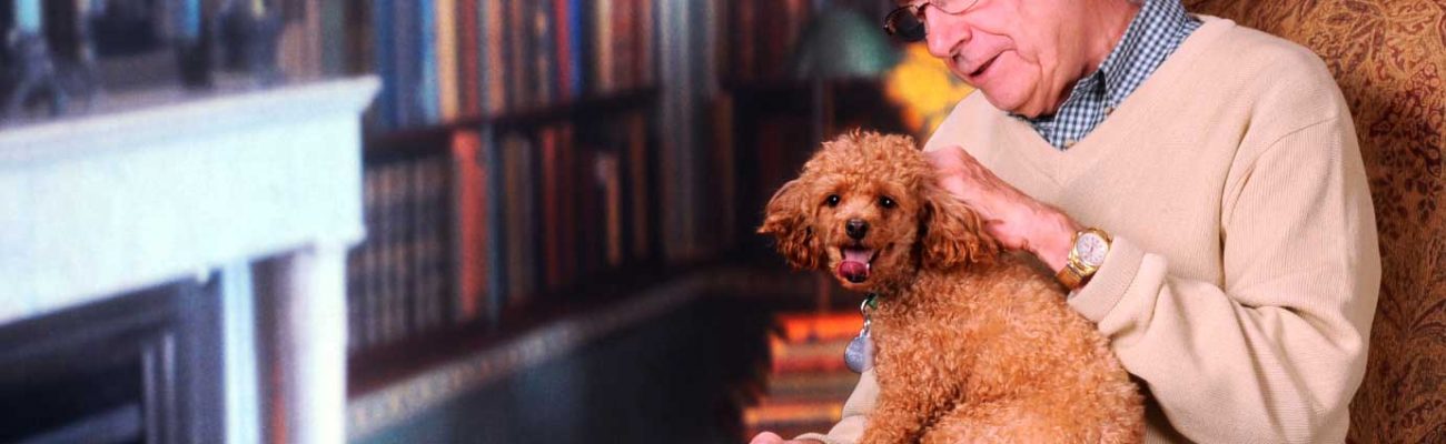 geriatrica-mascotas-perro-veterinario