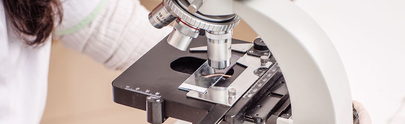 medicina-biogenerativa-veterinario