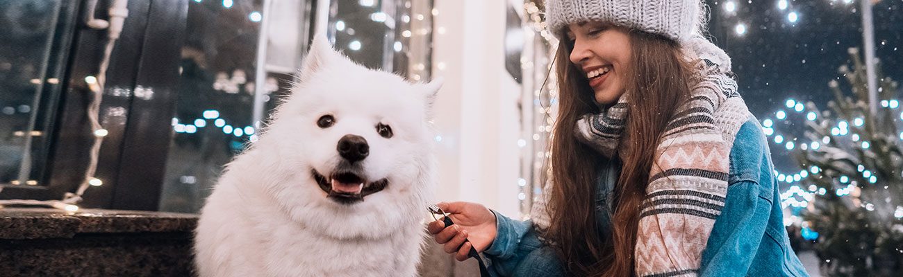 peluqueria-perros-veterinario-navidad