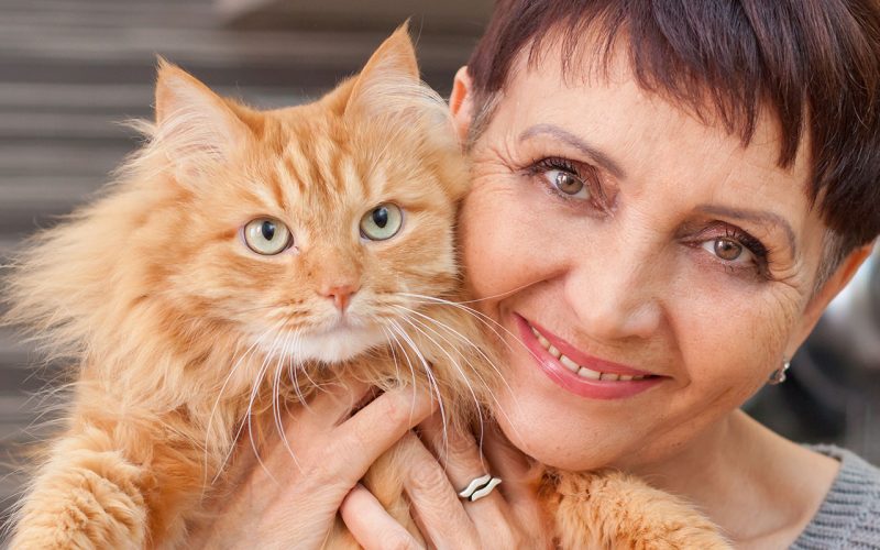 planes-salud-gato-senior