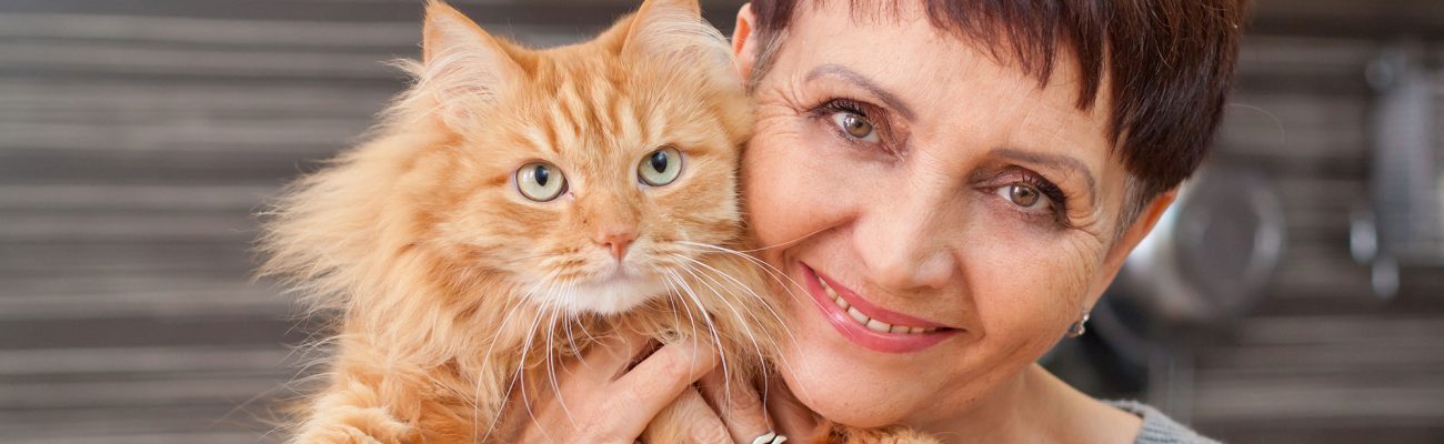 planes-salud-gato-senior