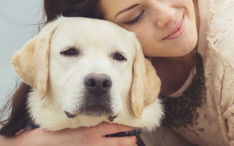 planes-salud-perro-adulto