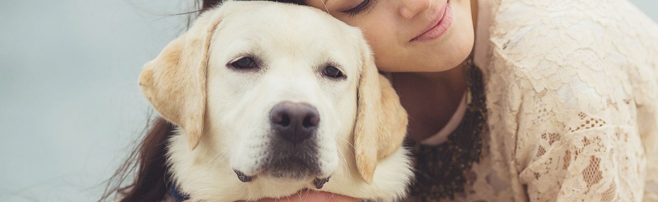 planes-salud-perro-adulto