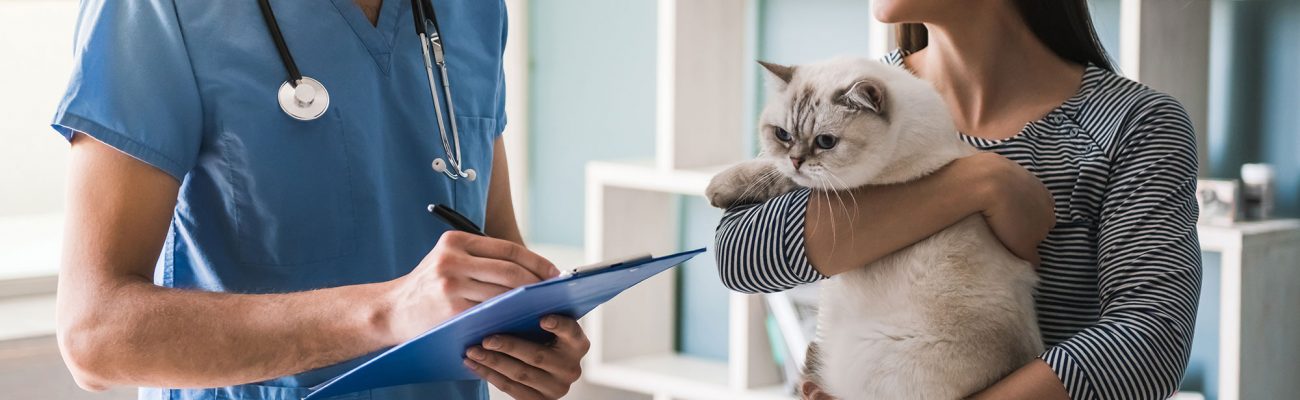 planes-salut-mascotas