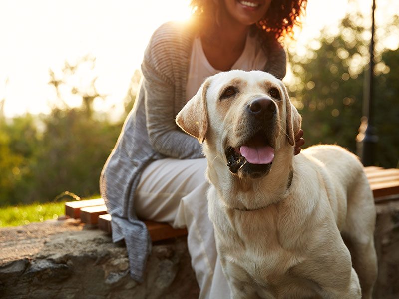 prevencion-parasitos