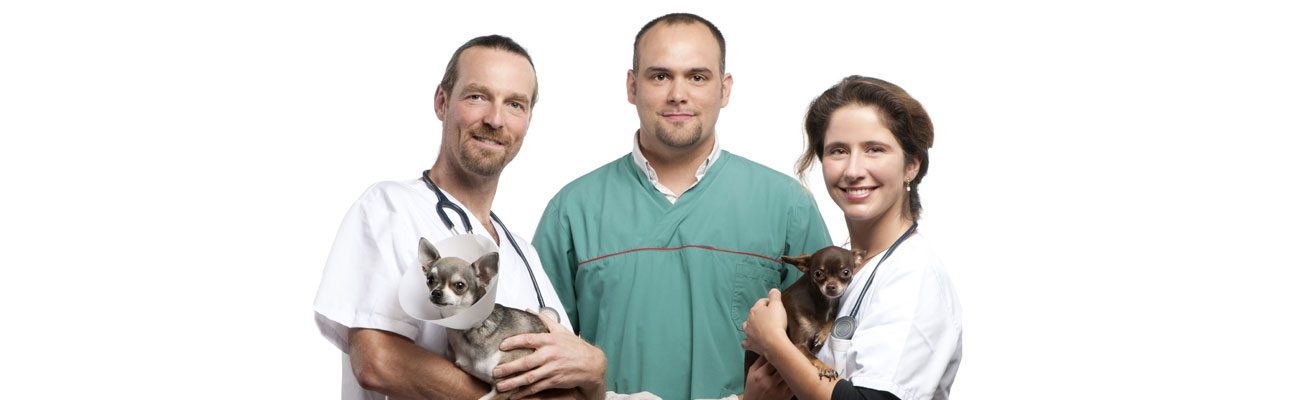 servicio-guardia-veterinario